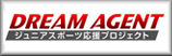 DREAM AGENT